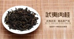 武夷肉桂茶属于什么茶？武夷肉桂茶价格_肉桂茶