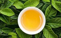 白芽奇兰属于什么茶?白芽奇兰茶叶的功效和作用