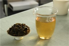 六堡茶成为消费者的健康茶