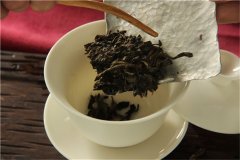 雅安藏茶的特殊意义是什么？