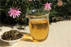 藏茶能有效改善水质的原因，你想了解一下是什