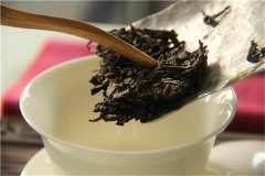 怎样鉴别藏茶的优劣？