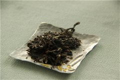 茶识|黑茶原料为什么是“粗枝老叶”？