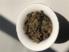 茶叶保存普洱常温存龙井放冰箱