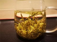 不是白茶的＂白茶＂，她不喜欢阳光
