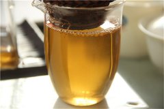 武夷岩茶制作的关键第一环节“采茶”
