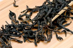 乌龙茶的种类工艺制作流程