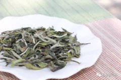 白牡丹是什么茶？不是花而是茶？