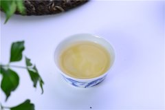 中国茶茶百科之福鼎白茶篇