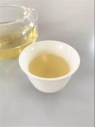 详解白茶的冲泡流程