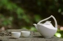 你适合喝“老白茶”吗？