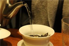 冲泡白茶用哪个温度的水合适？