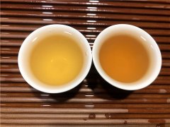 原来传统白茶和新工艺白茶有这么多不同,你知道
