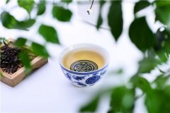 南北方有差异，白茶应该怎样保存？
