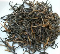 滇红茶的功效与作用及副作用、禁忌介绍