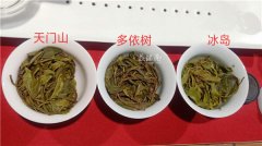 冰岛老寨的普洱茶怎么样？