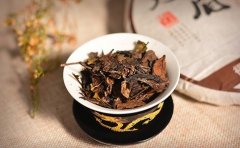 茶叶品牌推广途径有哪些 茶叶品牌推广