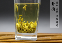 蒙顶黄芽属于什么茶?蒙顶黄芽的特征和真