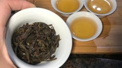 单丛茶是什么茶类