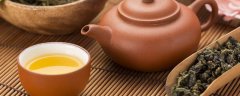 梨山茶属于什么茶