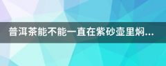 普洱茶能不能一直在紫砂壶里焖泡着喝