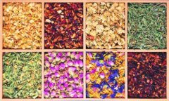 中医养生花茶有哪些品种？适合女性长期喝的花